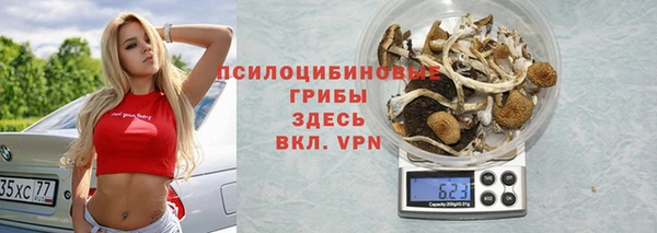 мдпв Осинники