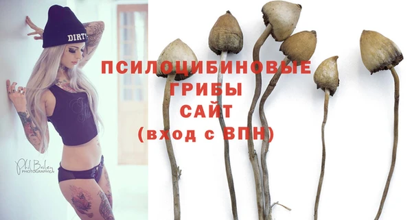 гашик Няндома