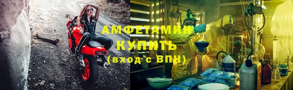 ГАЛЛЮЦИНОГЕННЫЕ ГРИБЫ Инсар