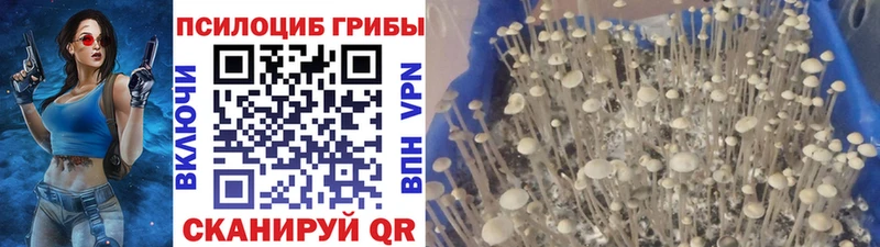 Псилоцибиновые грибы ЛСД Аткарск